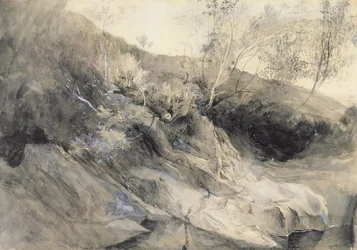 The Rocky Bank of a River - Verso: Sketch of Foliage